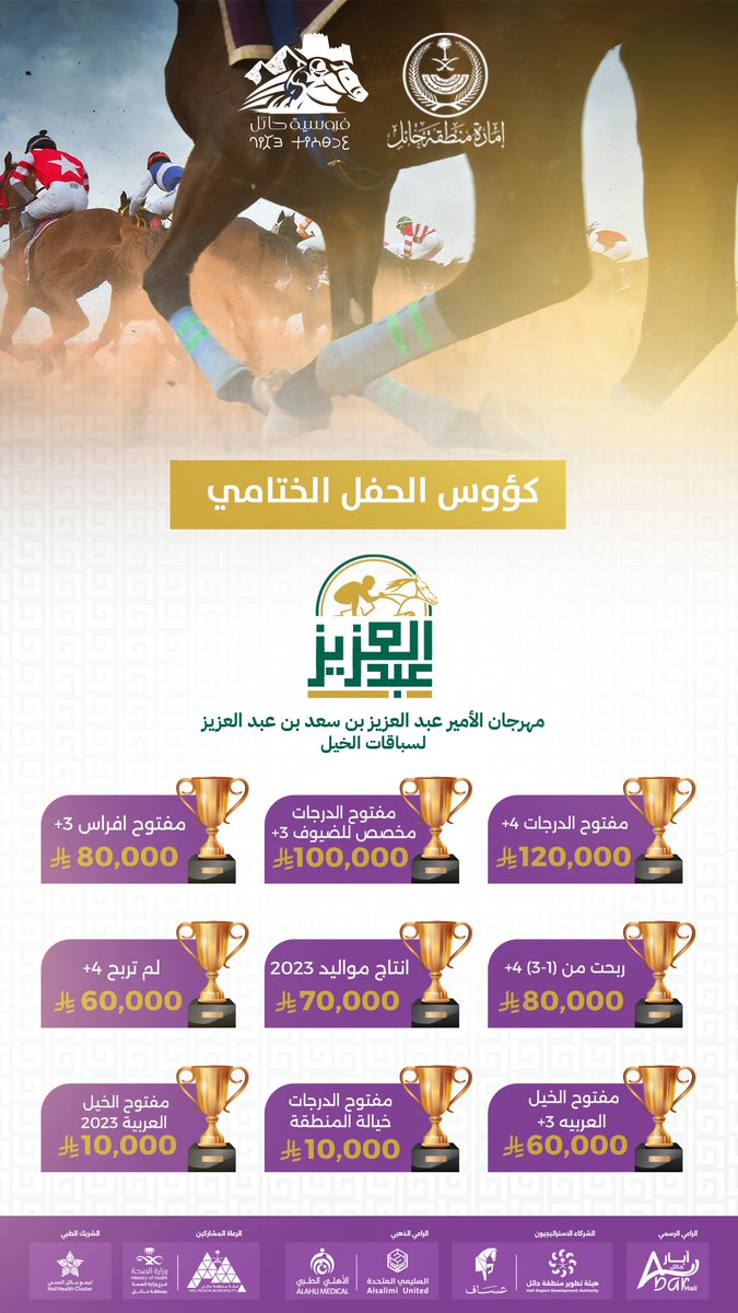 فروسية حائل tweet media