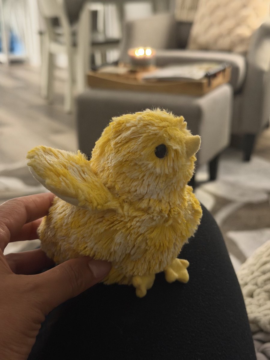 Yes, I bought the duck.
Yes, I’m almost 45.
And yes, I probably ate more vegetables today than you did.
So we’ll call it even.