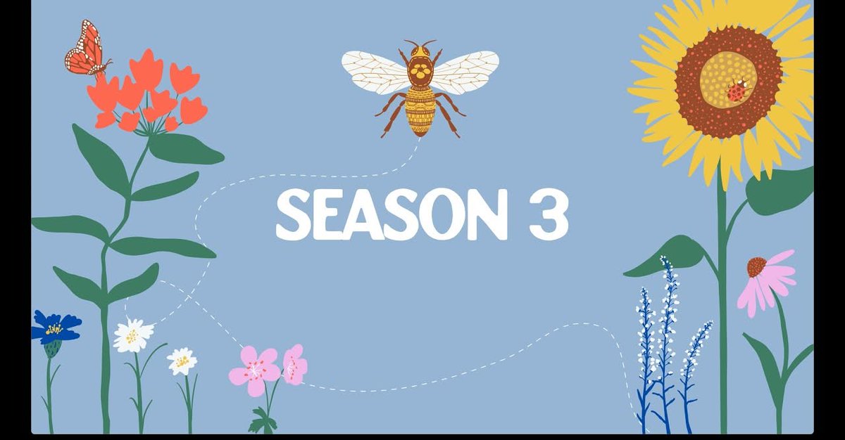 Nick Cernak tweet media