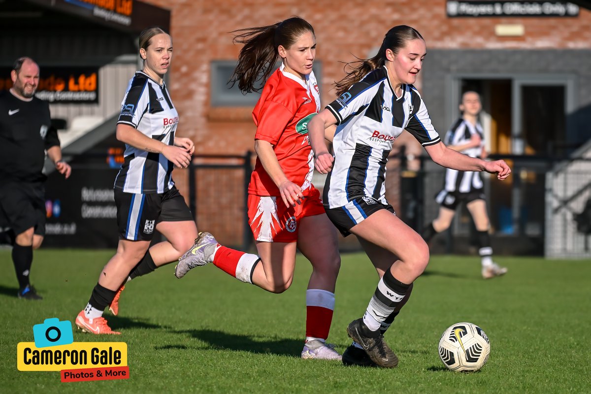 Behind The Fence Photography tweet media