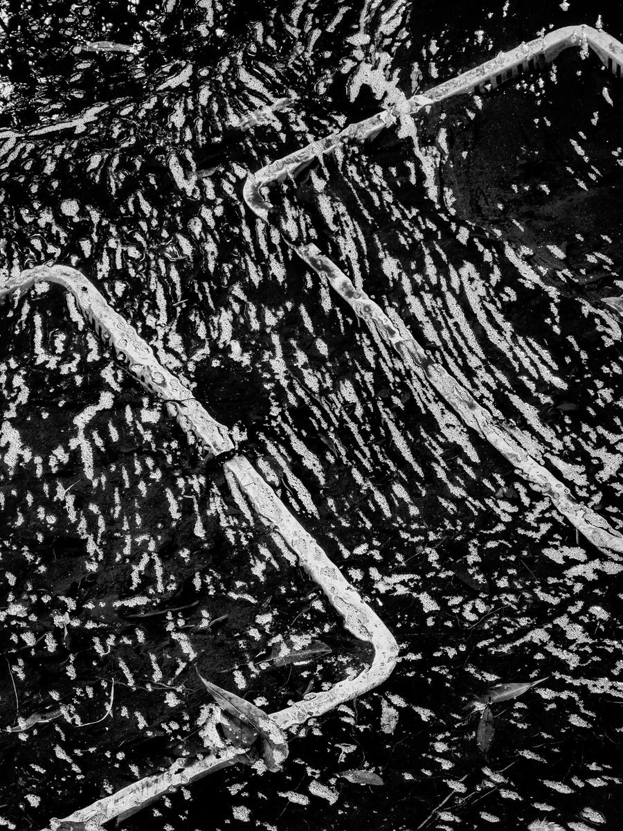 Water Phase
iPhone pic