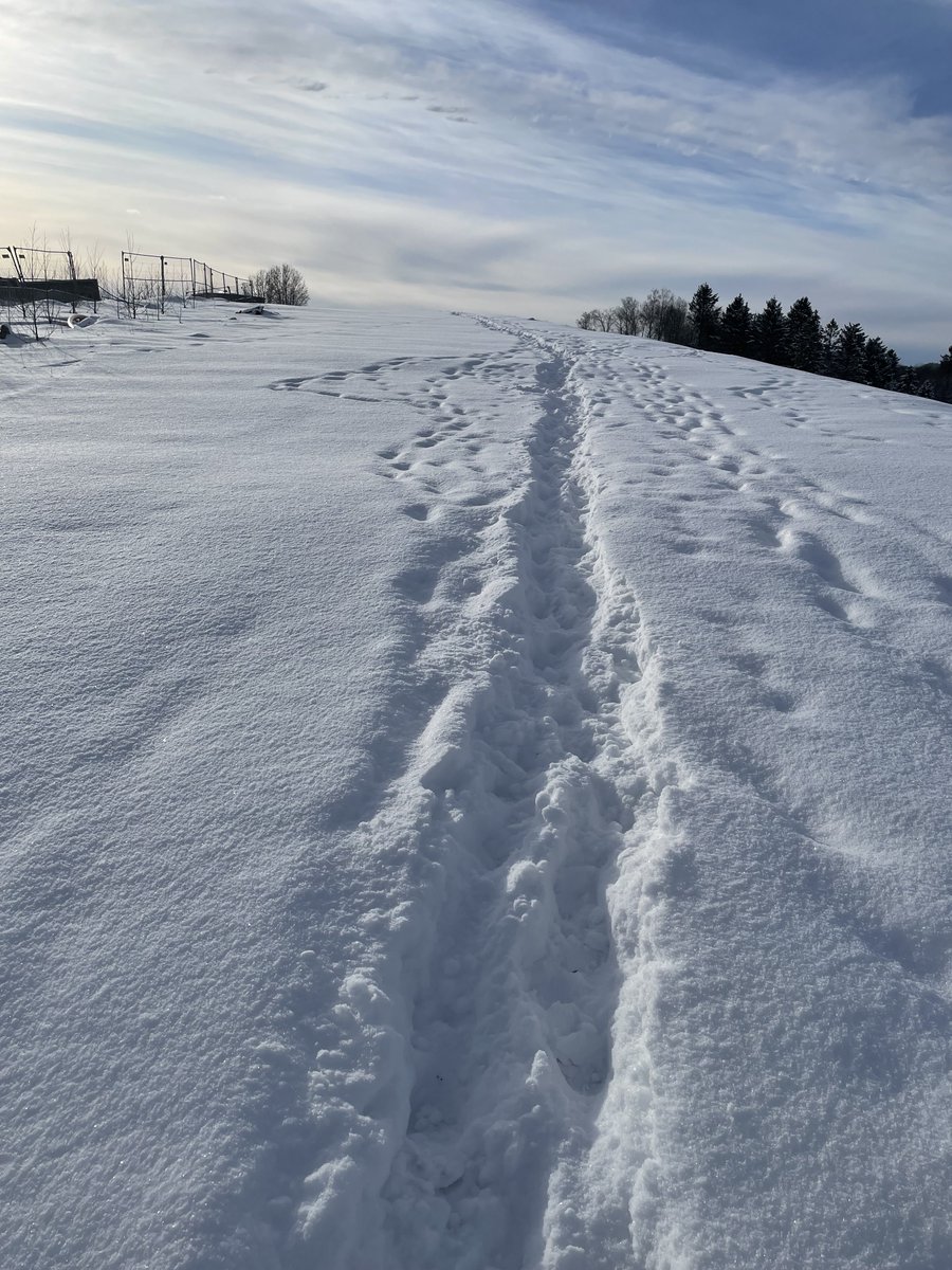 Ruth Schmid tweet media