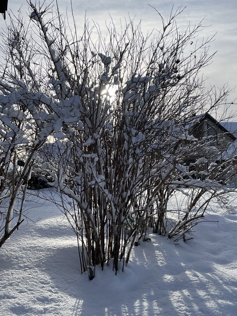 Ruth Schmid tweet media