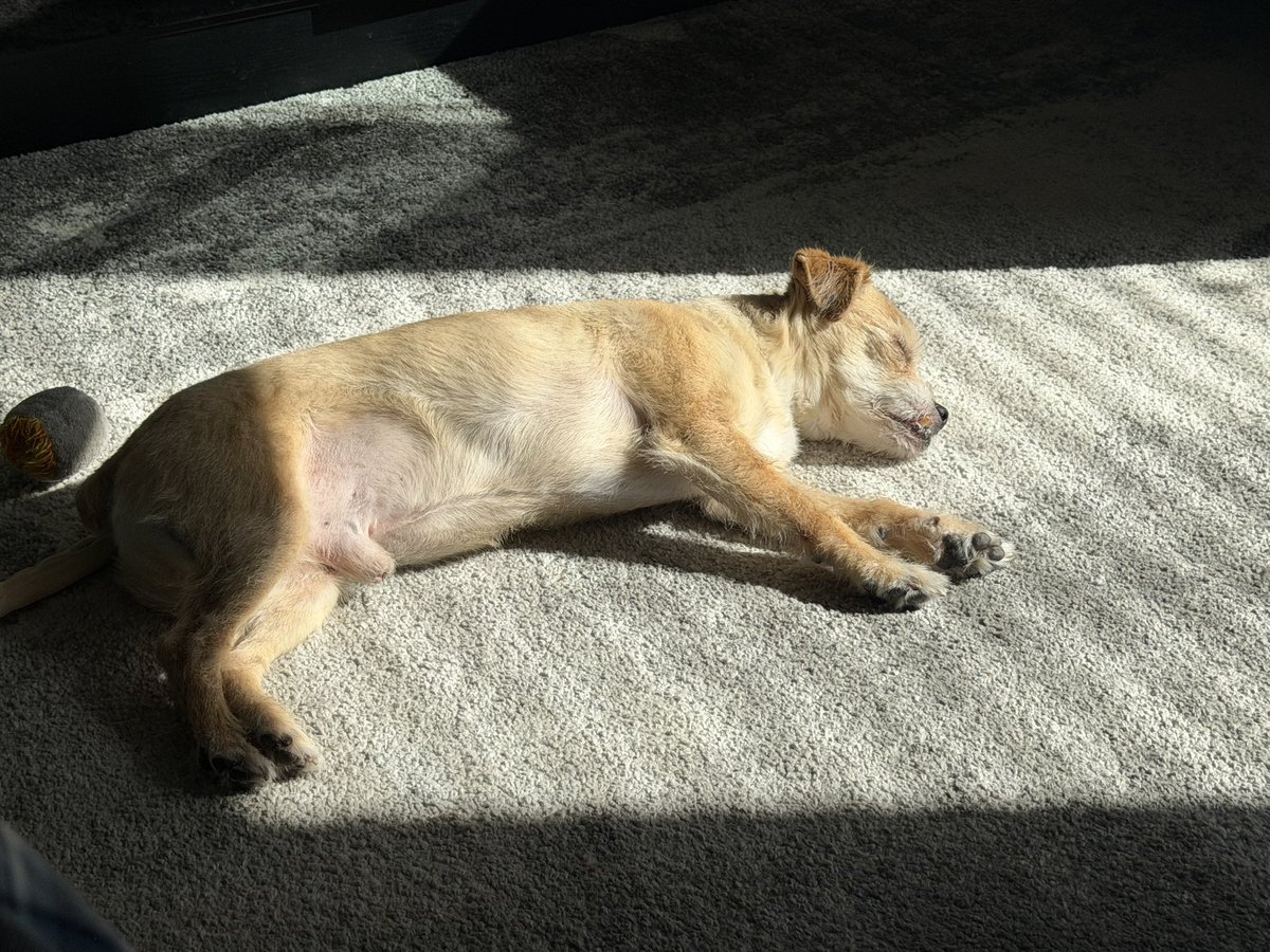 He loves his sunbeams