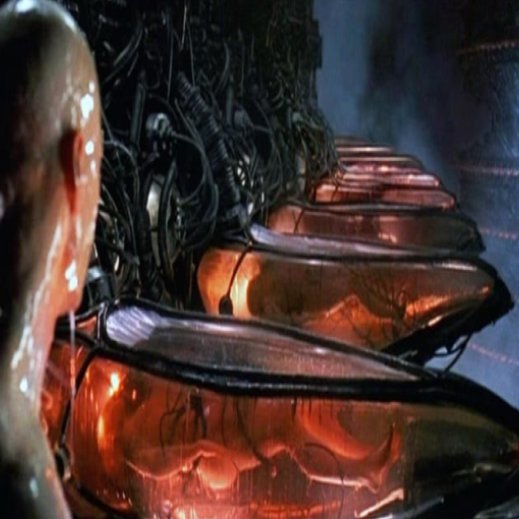 PREOCUPANTE! Maioria dos jovens não sabem que estão presos dentro de suas próprias mentes.