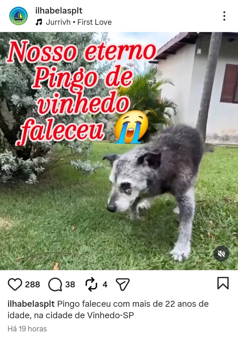 Marcelo Aparecido (@marceloap846) on Twitter photo 