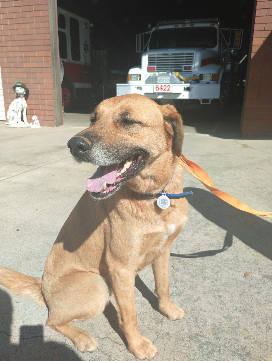 Sutter Creek Fire tweet media