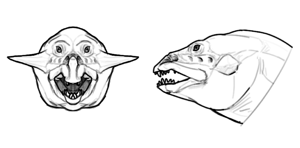 took at stab at it, gave it fish like maxilla for jointed part of the skull
