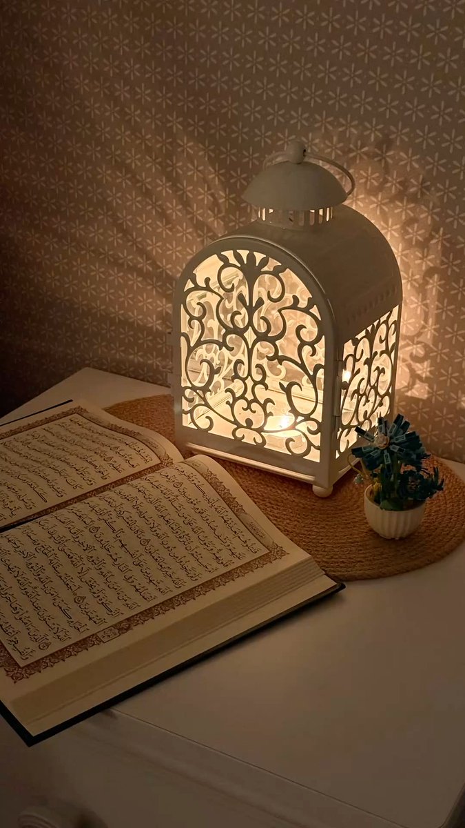 ❤️نبض مسقط❤️ tweet media