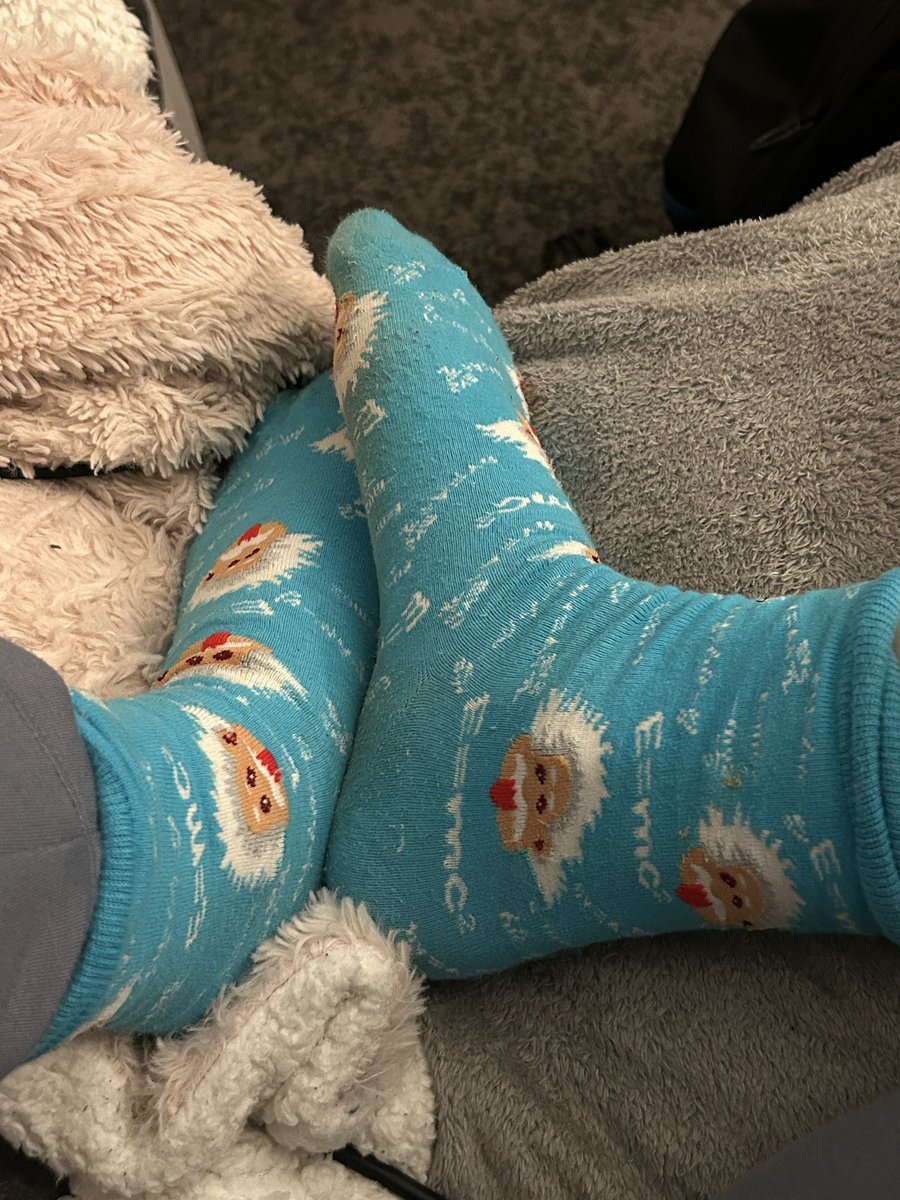 🦕shaked || לחוצה tweet media