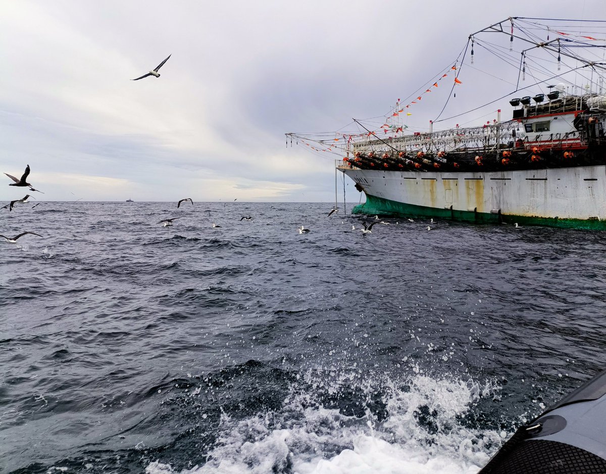 Falklands FishOps tweet media