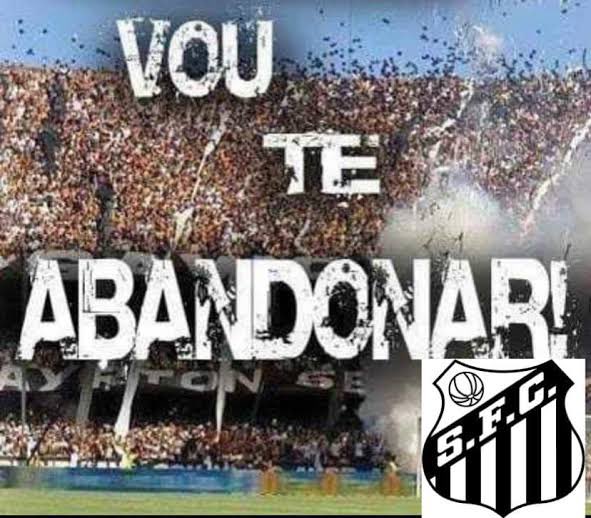 gatosantistasfc's tweet photo. https://t.co/wdYqBlToUO