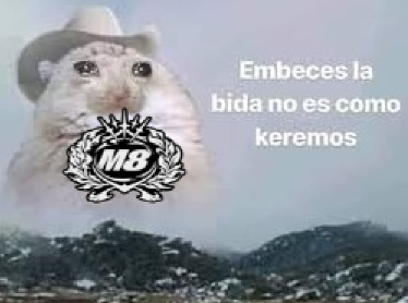 Galderista tweet media