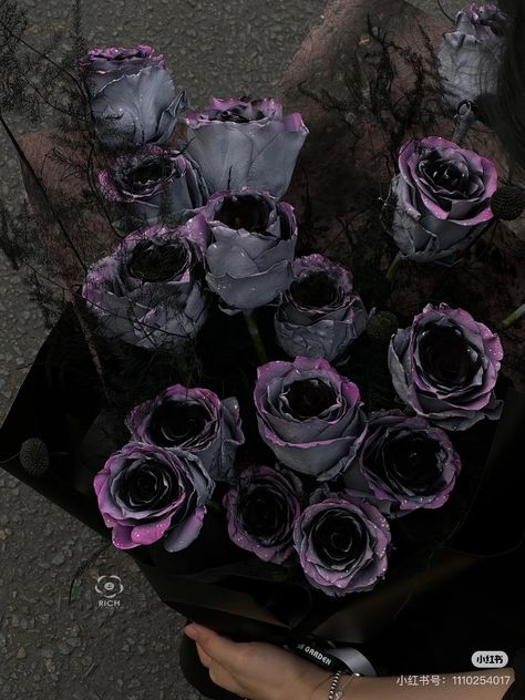 blackdreamvibes's tweet image. 