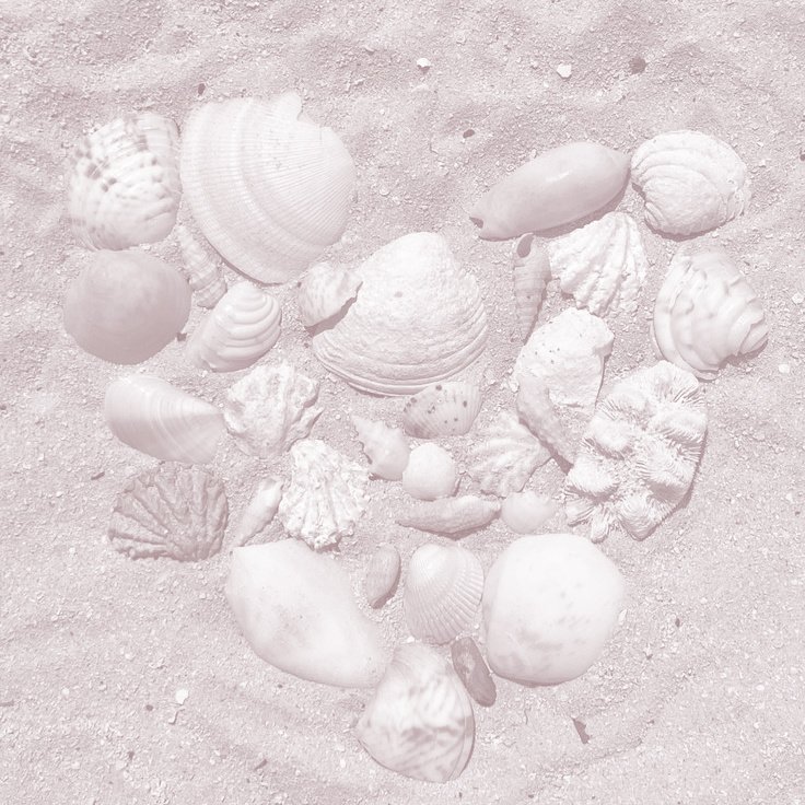 celeste ׁ ✿ ׅ - hiato tweet media