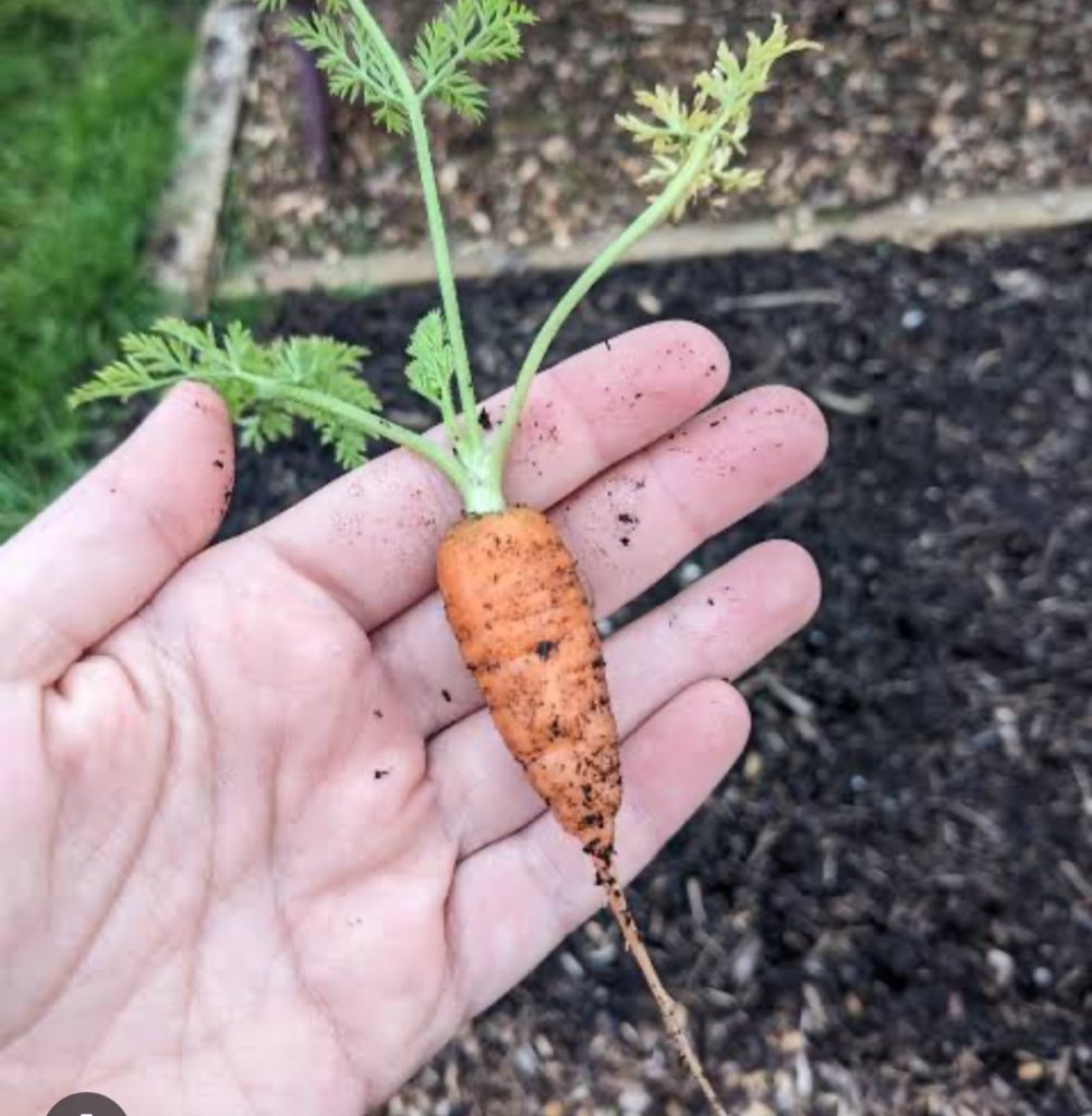 Lilyallly❤️🇬🇧 tweet media