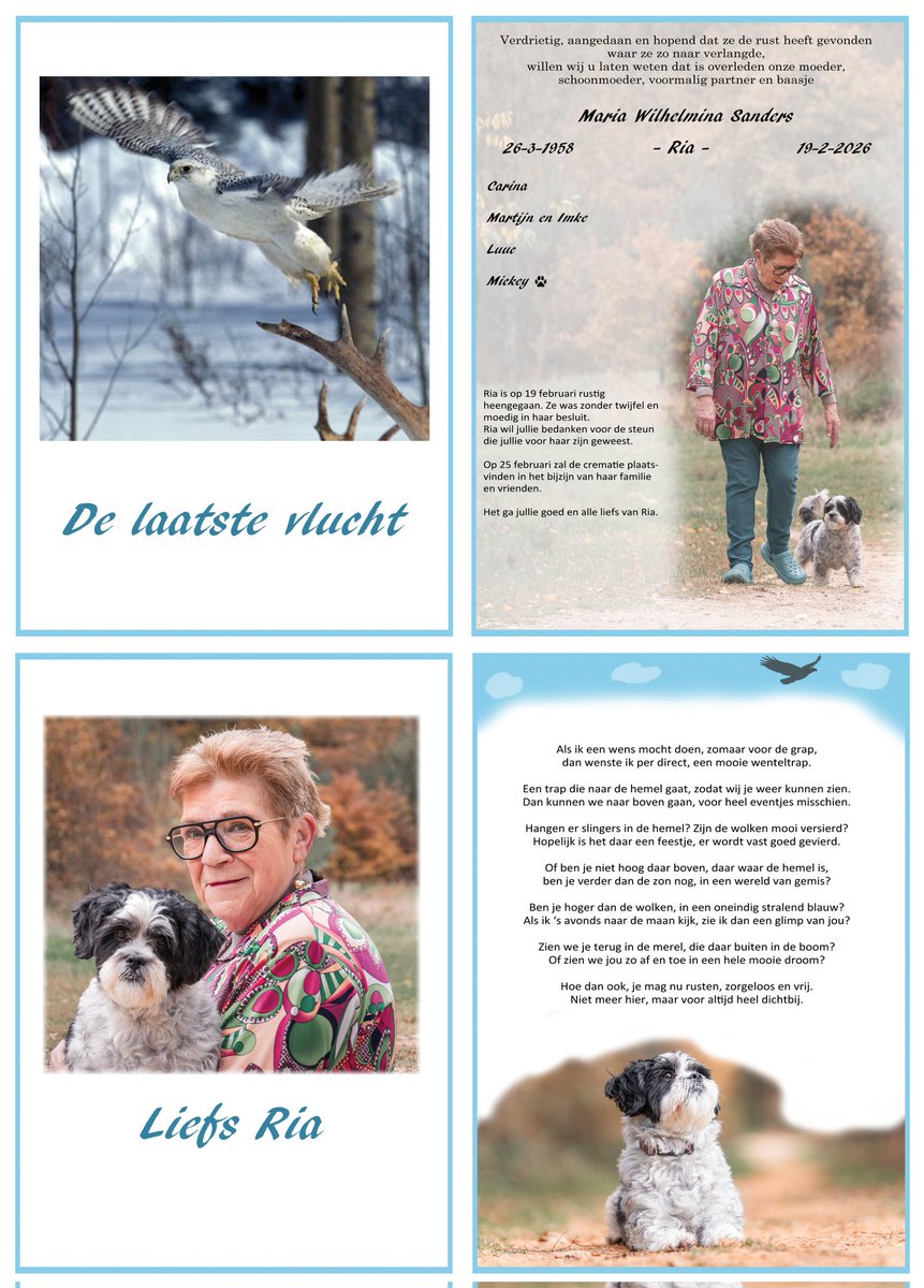 RiaSanders tweet media