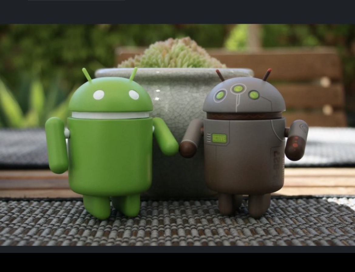 Pirat_Nation 🔴 tweet media