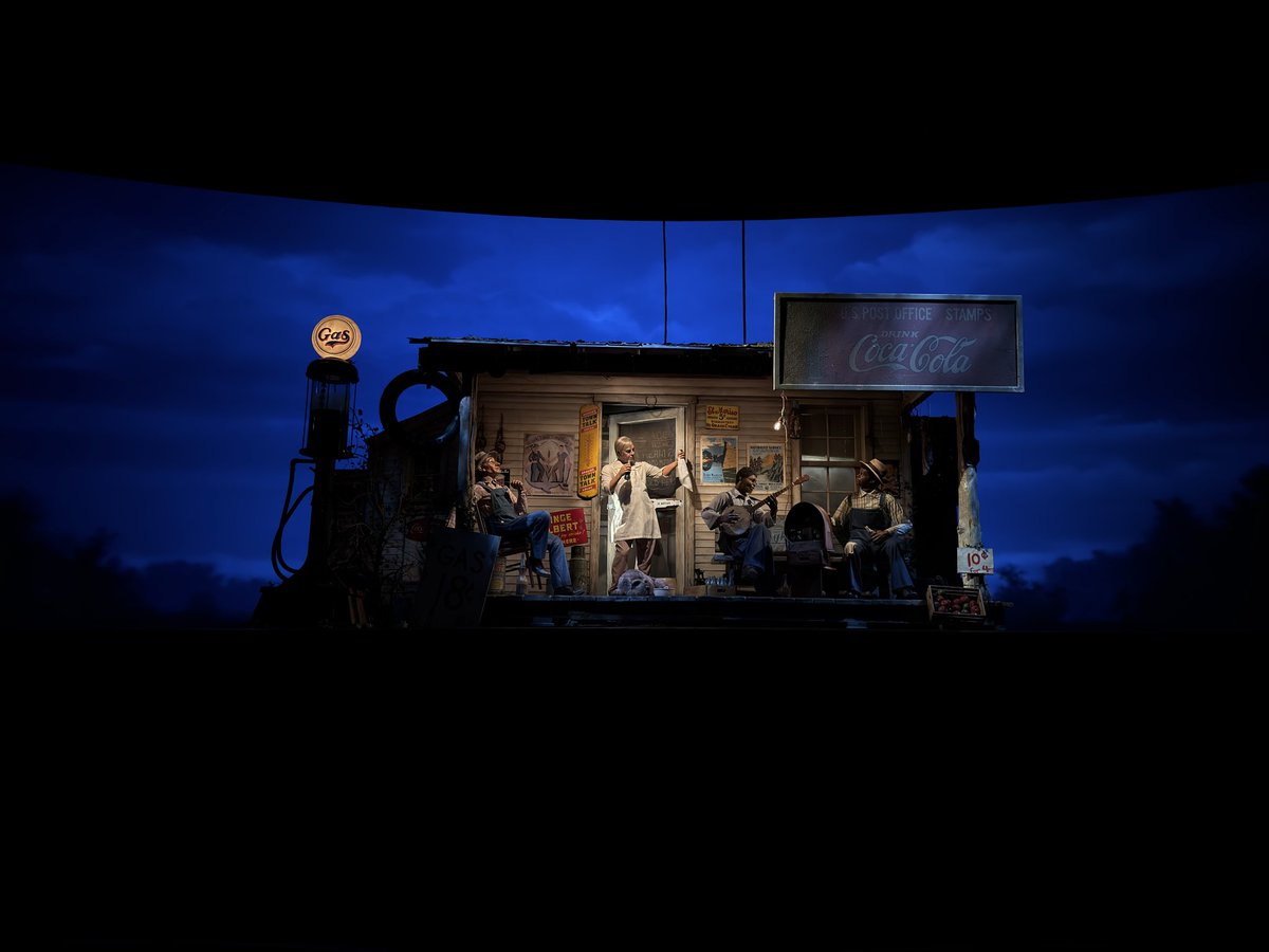 Theme Park Cheetah tweet media