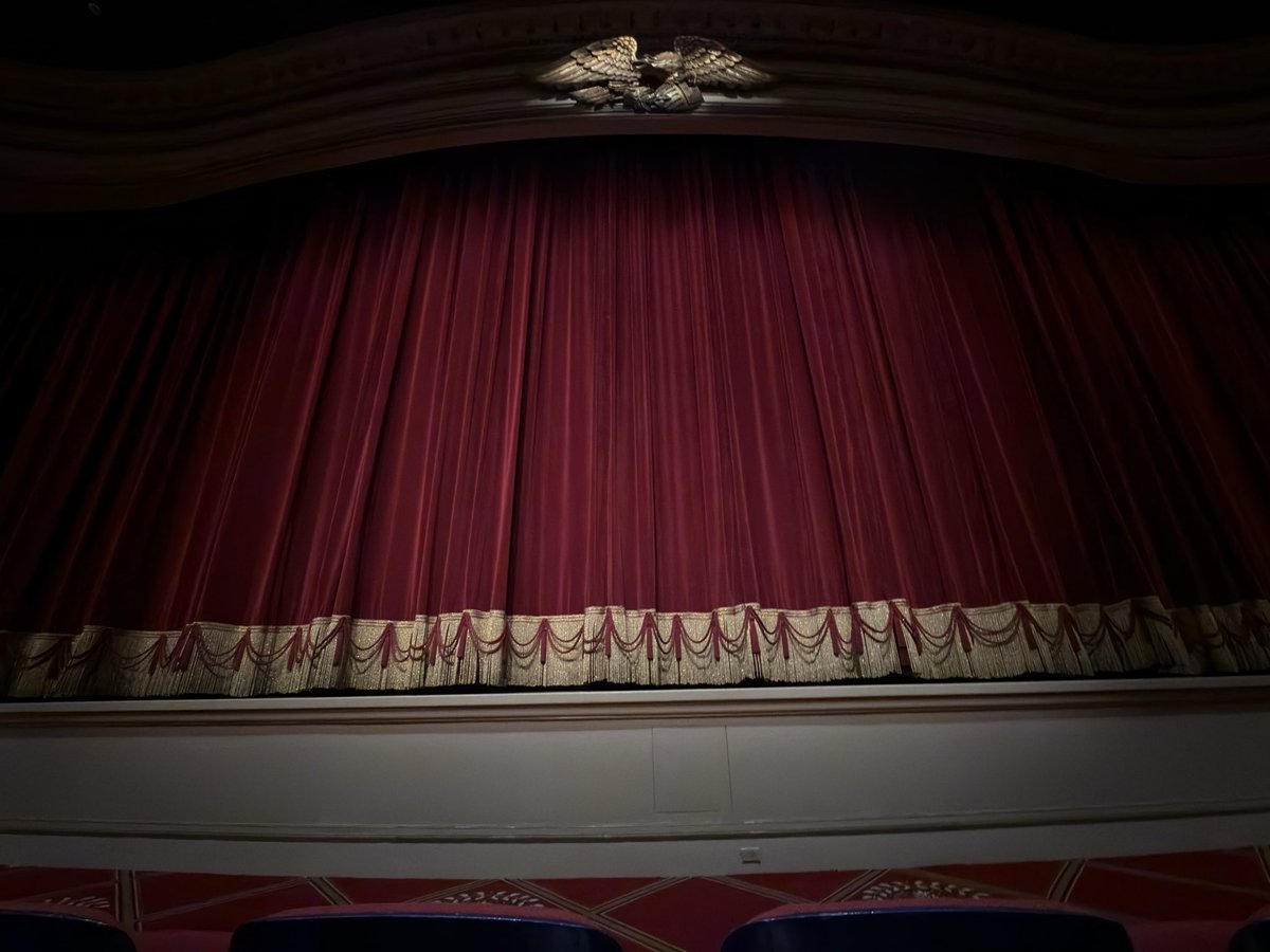 Theme Park Cheetah tweet media