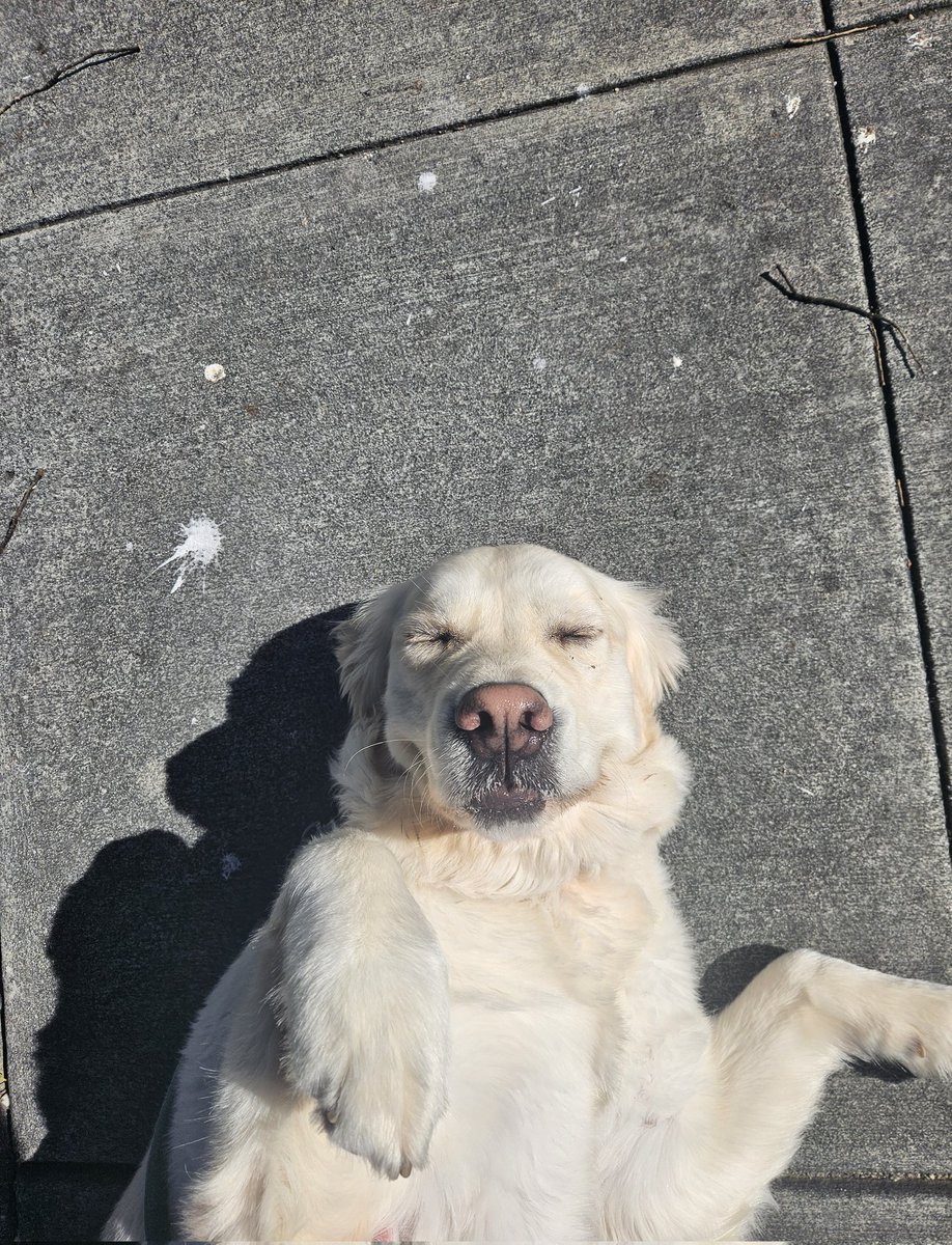 Vesuvius tweet media