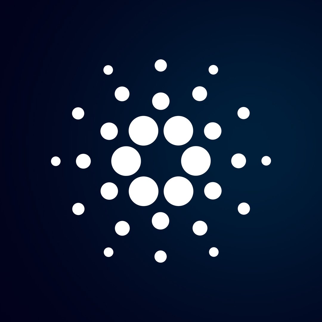 OxManuel tweet media