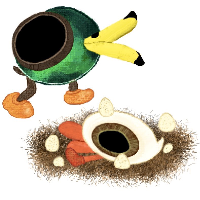 ‍ ‍Ⓑʟᶦᵗz 🪸ᶦᴛ.ᐟ tweet media