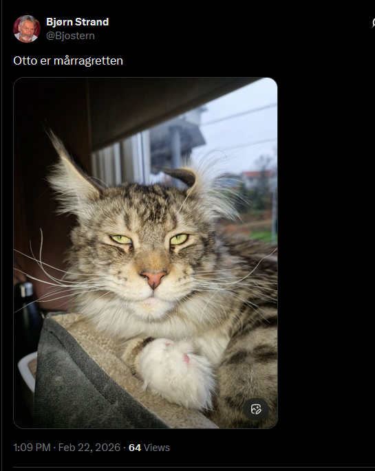 Ann Kristin (uten bindestrek) Hansen 🏳️‍🌈😻🖕 tweet media