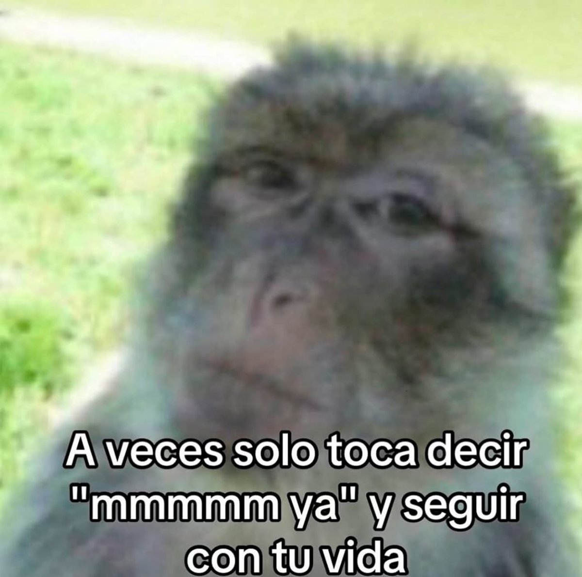 Bandi (@bandiee) on Twitter photo 