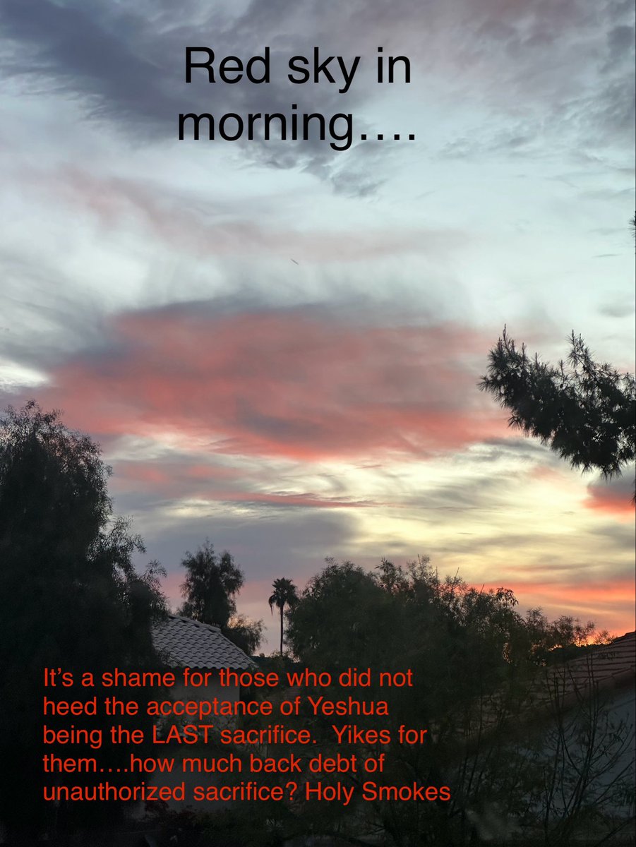 Corinn Renee tweet media