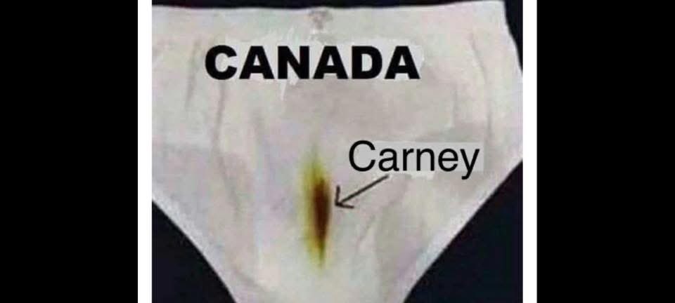 🇨🇦CDN-R🇨🇦 tweet media