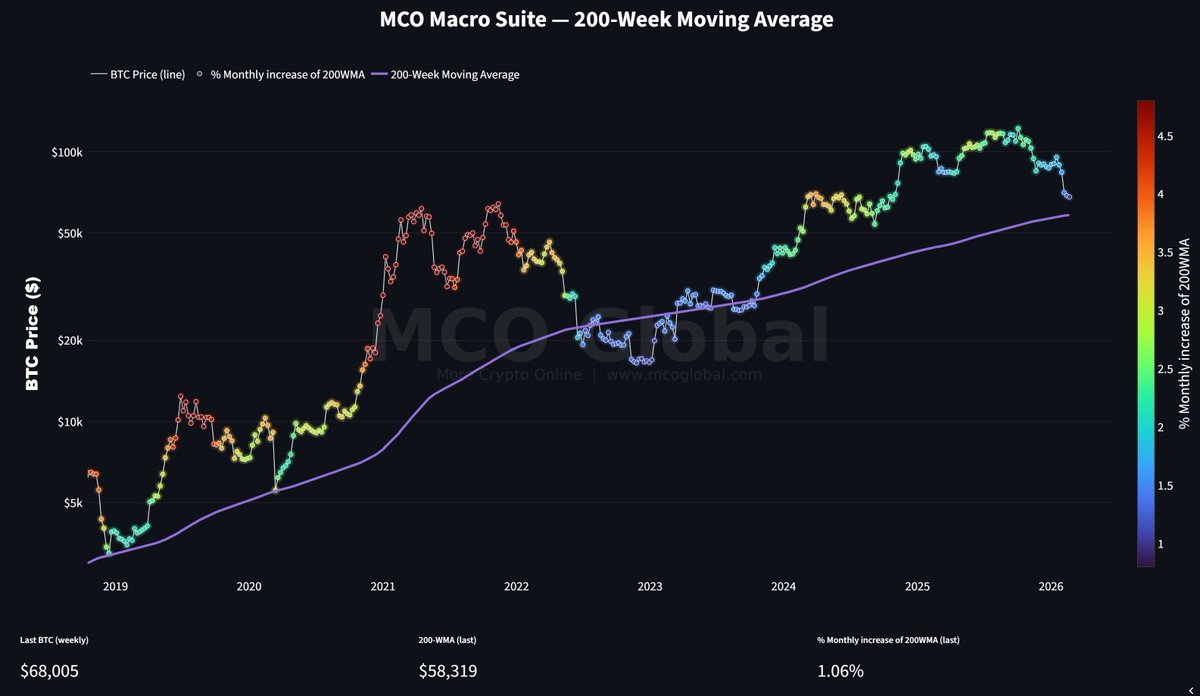 More Crypto Online tweet media