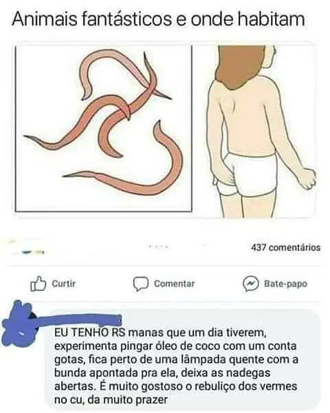 Traficante de Memes tweet media