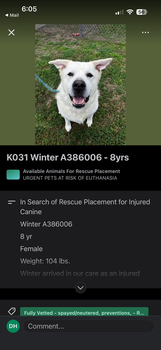 South Texas Animal Rescue Group, AKA STAR Group tweet media