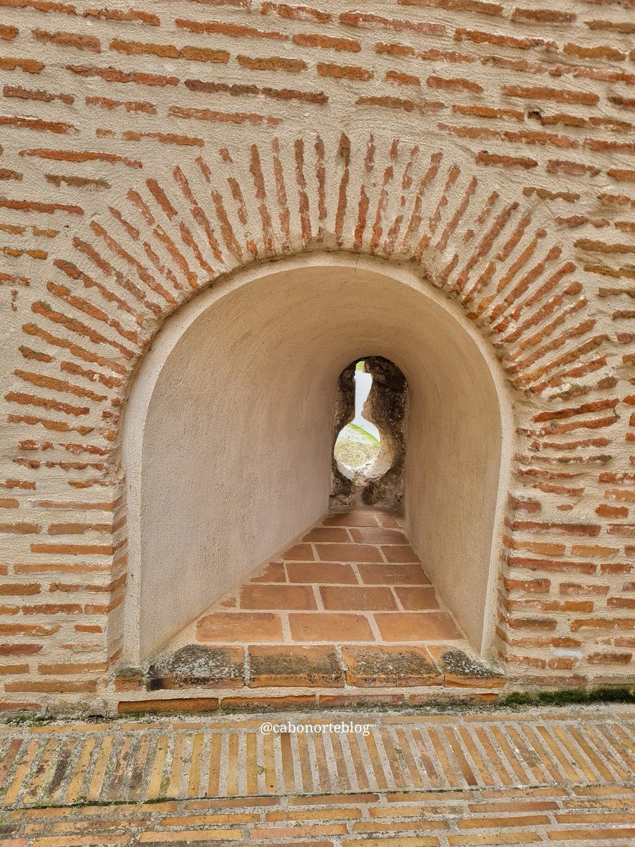 cabonorteblog tweet media