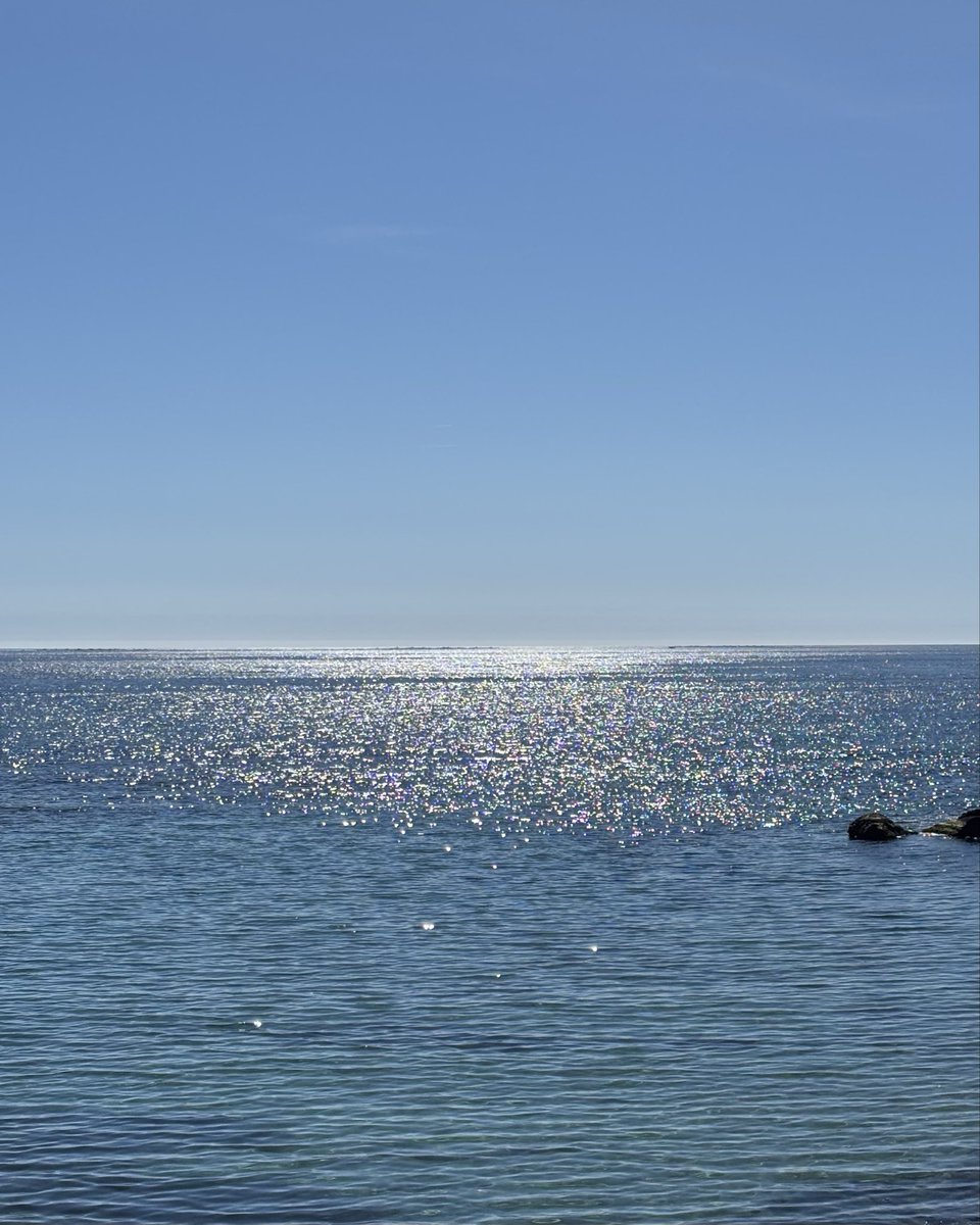 Y si…… lo dejo todo y vuelvo a casa????