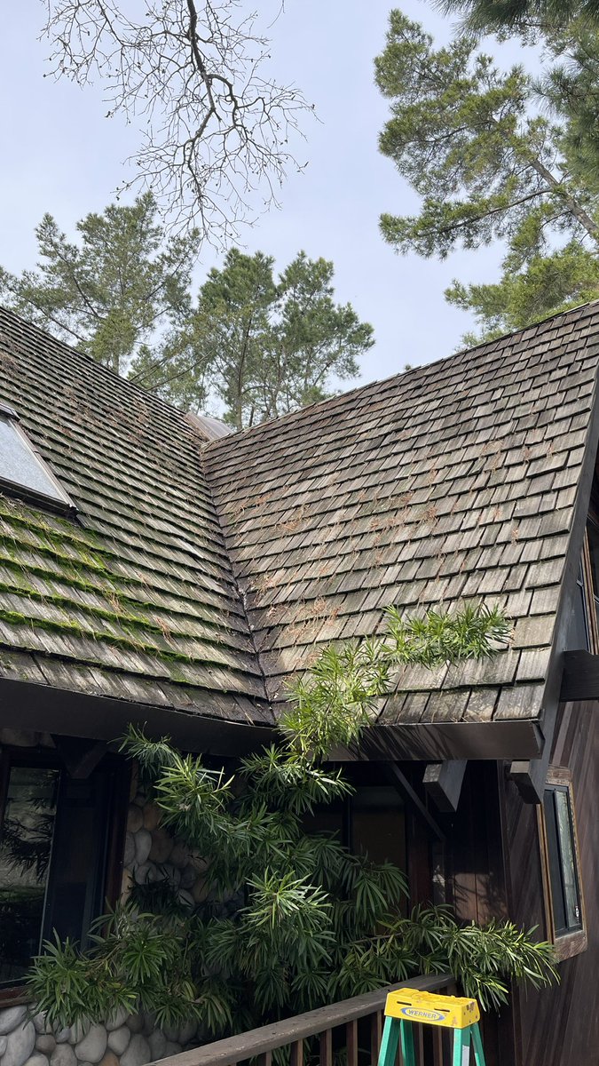 Shannon Jean tweet media