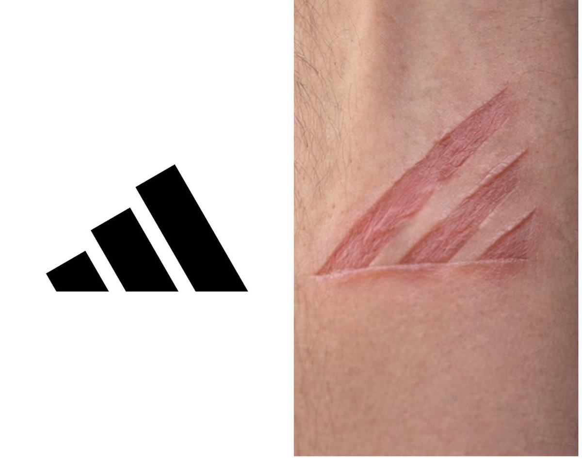 مسابقات رائد سليم tweet media