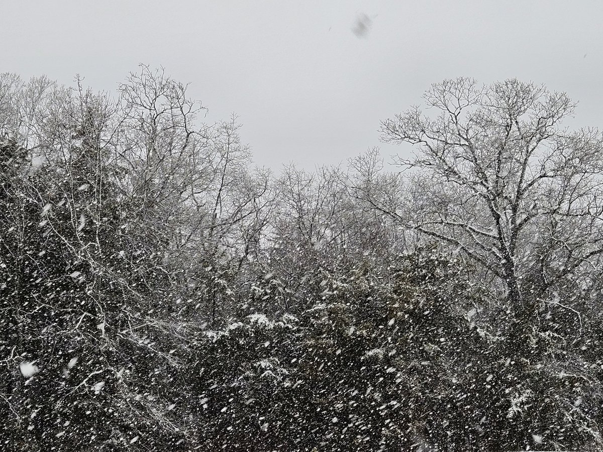 AcyRunway13's tweet image. And so it begins...
  Blah, blah, blah snow ❄️😝❄️
#snow #snowstorm #NJ 
#February2026 #winter 
#NaturePhotography