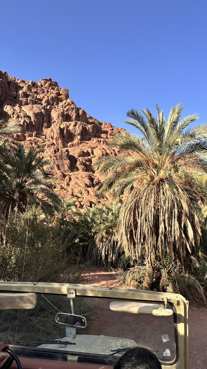 العيْش في حائل: دهشة ممتدّة، وانتماء متجدّد.