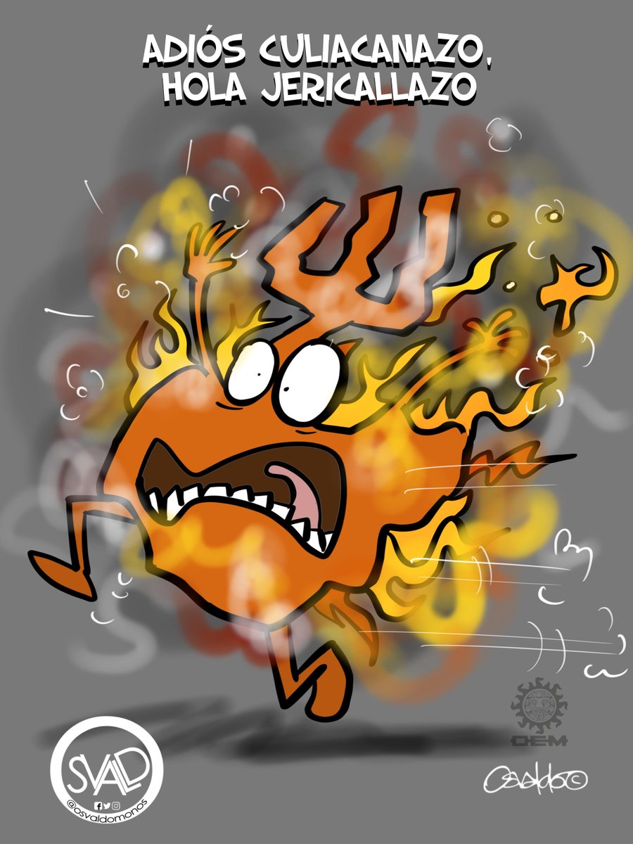 El Sol de México tweet media