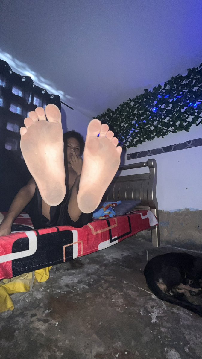 alpha carta 💸black (1k) tweet media