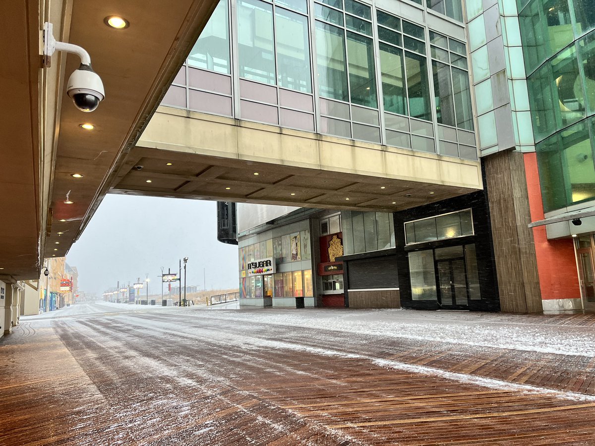 Madeleine Wright tweet media