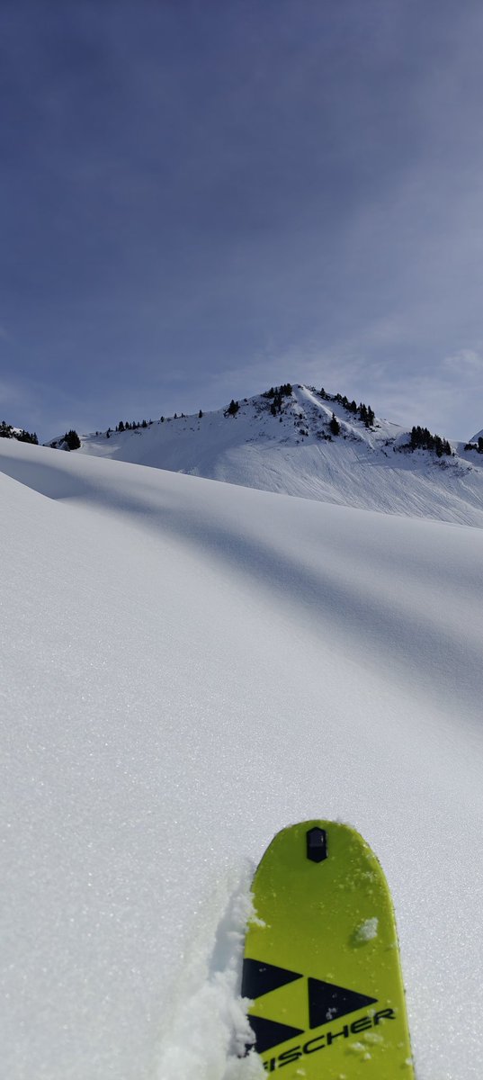 dͩeͤvͮnuͧl . DELEGETIMIERER tweet media