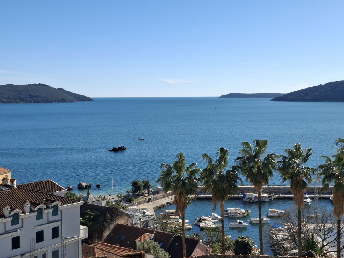 HolidayMonte's tweet photo. Herceg Novi today. Spring is just around the corner. #Montenegro #montenegroadventures https://t.co/q7CXR153v3