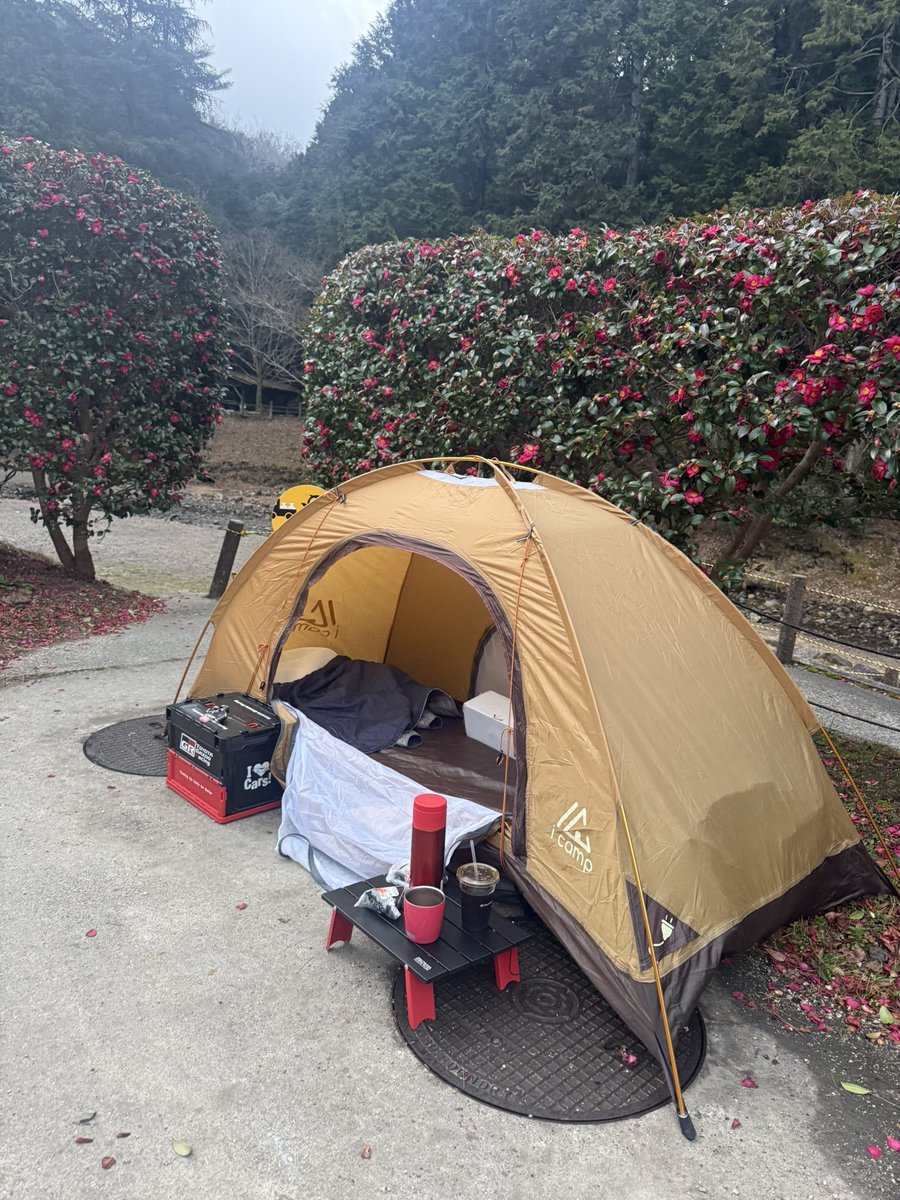 ここに来れるか自信がなかったけど、無事到着。
　
寝床完成❗️
しばし仮眠します☺️
　
#オサムファクトリー
#ヒルクライム