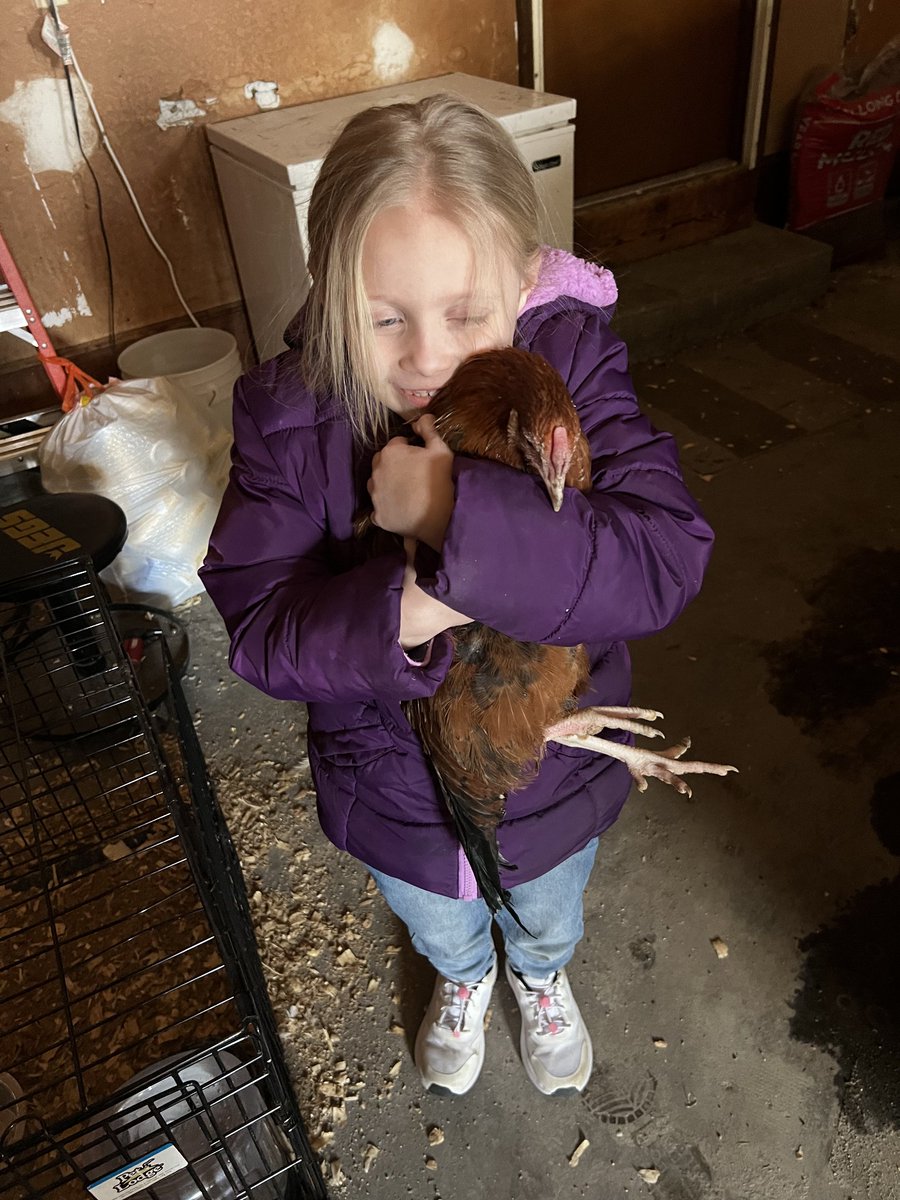 Zion Unsealed tweet media