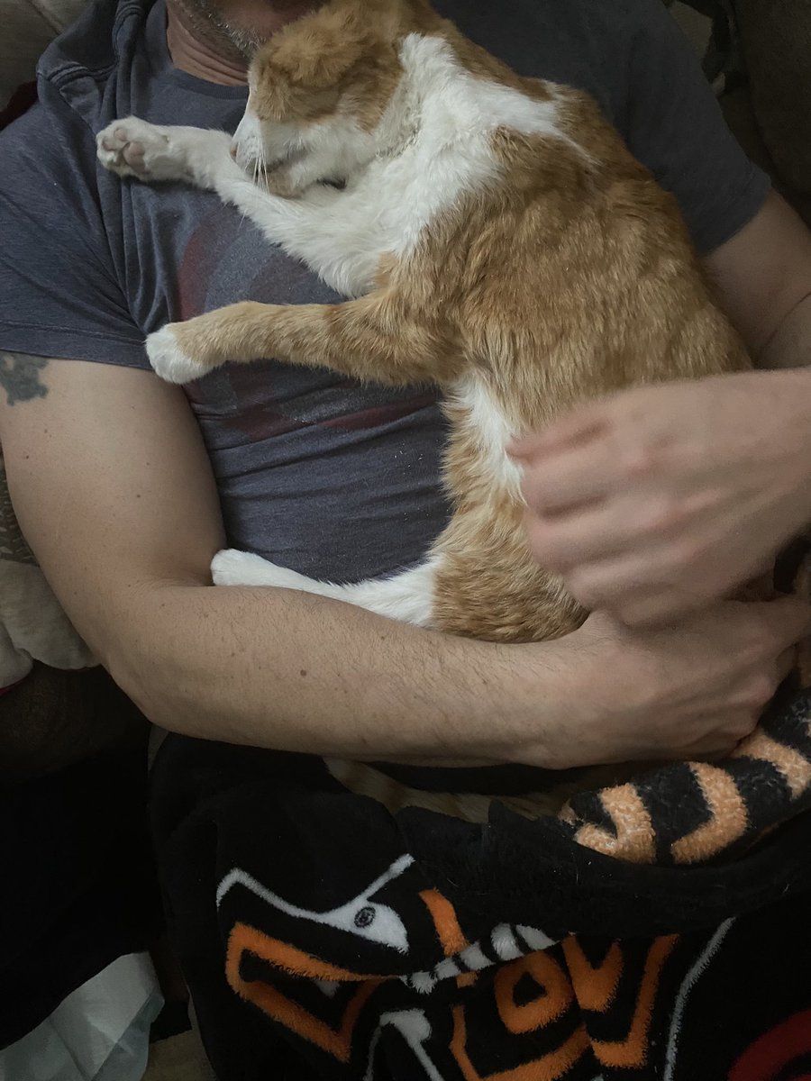 He’s no longer with us. It’s not fair. I’ll miss you forever. I love you Phineas