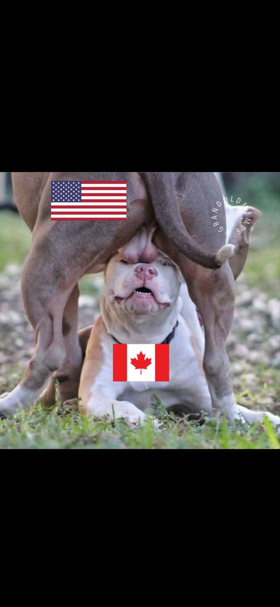 Dickjerkyc41933's tweet photo. @FrankDangelo23 @TSN_Sports @JClipperton_CP https://t.co/kB2Dgth8O5