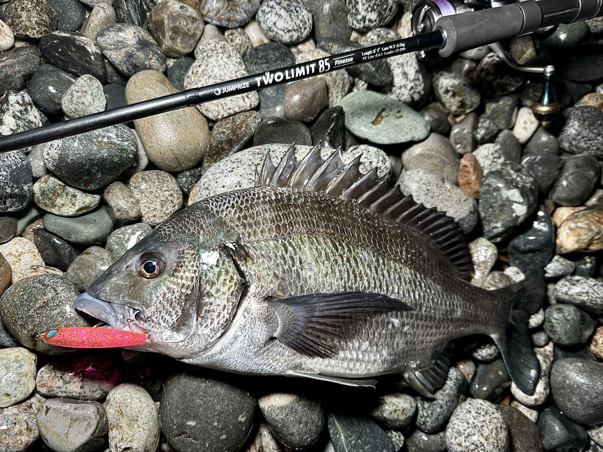 パパアングラー (@yutaro3225188) / Posts / X